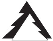 Логотип компании 'Алтайский лес'